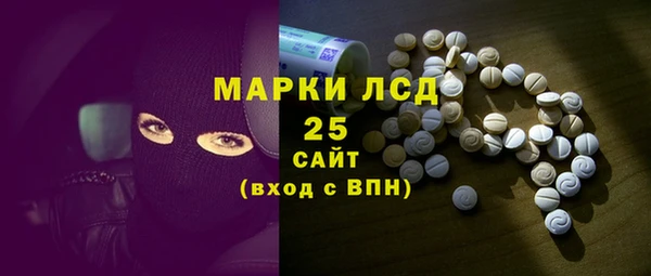 PSILOCYBIN Алзамай