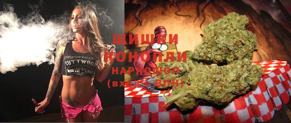 PSILOCYBIN Алзамай