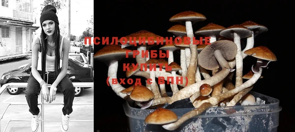 тгк Алексеевка
