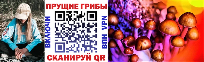 магазин    Добрянка  блэк спрут ссылка  Псилоцибиновые грибы MAGIC MUSHROOMS 