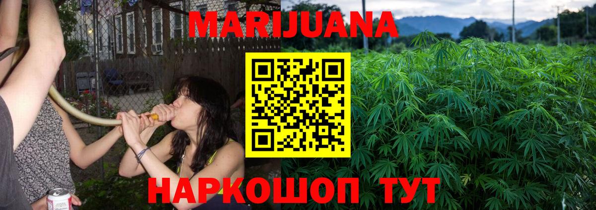 МАРИХУАНА сатива Добрянка